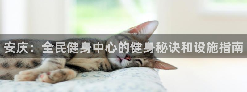 尊龙集团：安庆：全民健身中心的健身秘诀和设施指南