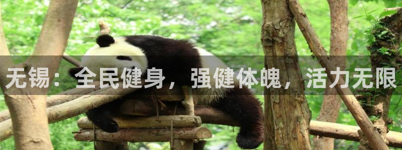 尊龙人生就是博手机版下载：无锡：全民健身，强健体魄，活力