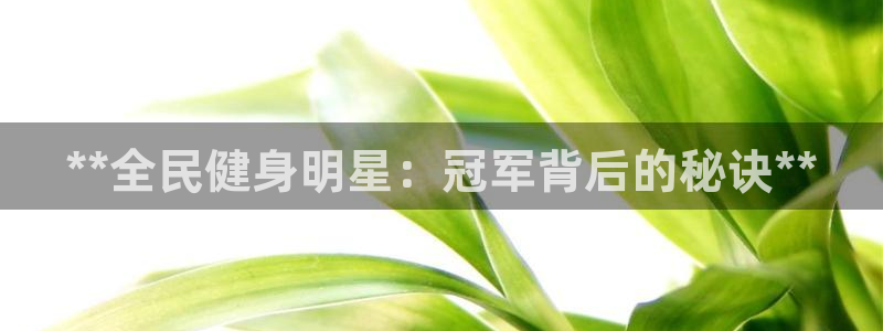 尊龙新版app：**全民健身明星：冠军背后的秘诀**
