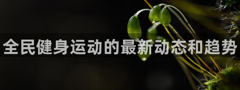 尊龙人生就是博官网登录手机：全民健身运动的最新动态和趋势