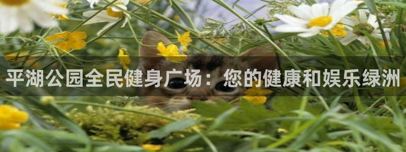 尊龙登录首页：平湖公园全民健身广场：您的健康和娱乐绿洲