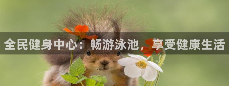 尊龙D88现金旧版：全民健身中心：畅游泳池，享受健康生活