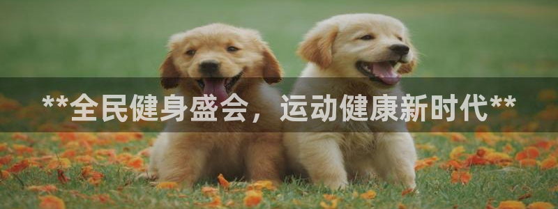尊龙手机客户端app：**全民健身盛会，运动健康新时代*