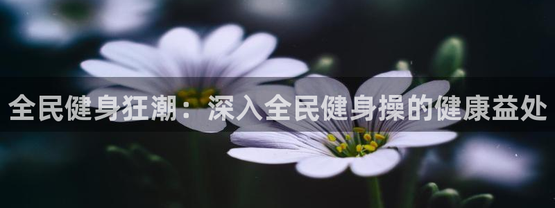 凯时平台登录：全民健身狂潮：深入全民健身操的健康益处