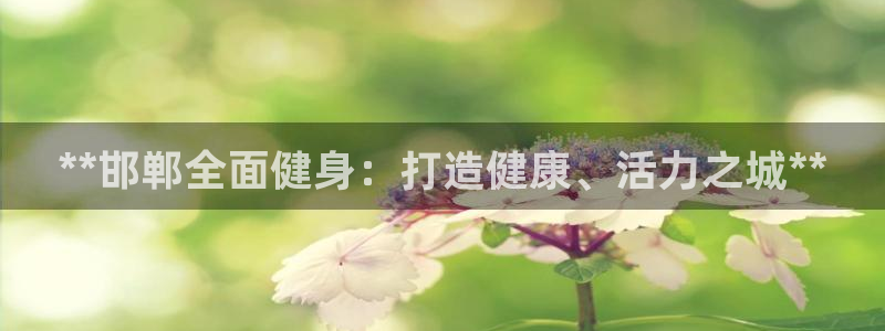 尊龙—人生就是博：**邯郸全面健身：打造健康、活力之城*