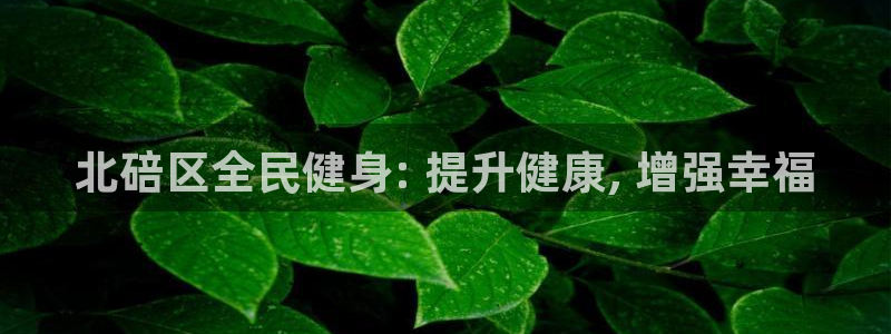 尊龙网址登录官网：北碚区全民健身: 提升健康, 增强幸福