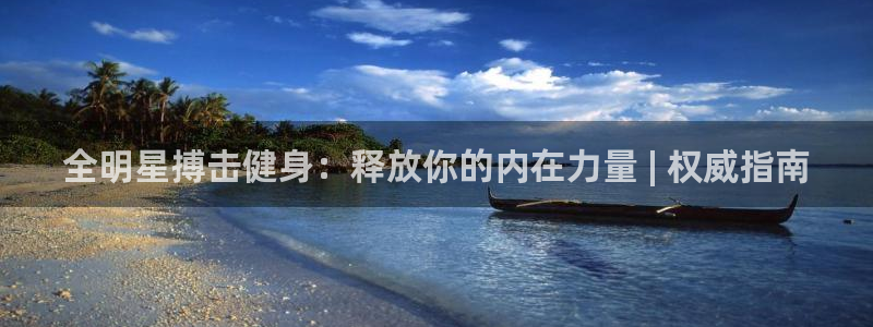 尊龙凯时输了100万：全明星搏击健身：释放你的内在力量 