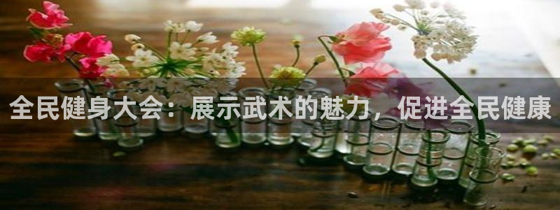 尊龙app下载官网：全民健身大会：展示武术的魅力，促进全