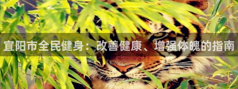 d88尊龙平台开户：宜阳市全民健身：改善健康、增强体魄的指南