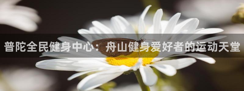 尊龙凯时网站不让提款：普陀全民健身中心：舟山健身爱好者的