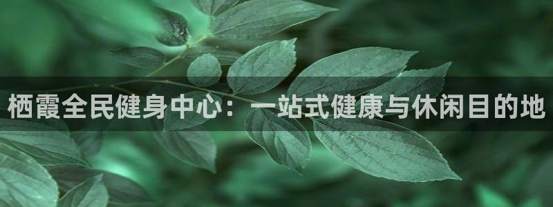 尊龙t300和t400哪个好：栖霞全民健身中心：一站式健