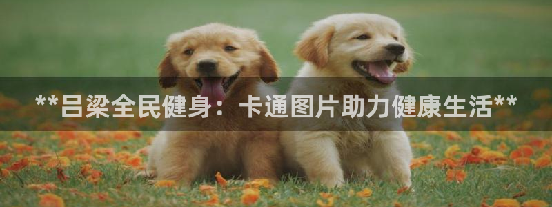 尊龙凯时-人生就是博中国官网：**吕梁全民健身：卡通图片