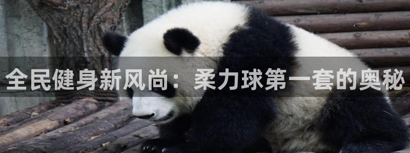尊龙凯时提款一直审核中：全民健身新风尚：柔力球第一套的奥