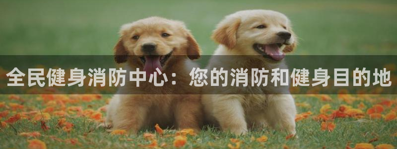 尊龙科技：全民健身消防中心：您的消防和健身目的地