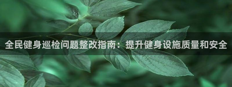 凯时kb88·中国官方网站：全民健身巡检问题整改指南：提