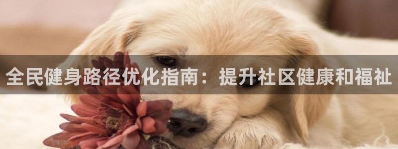 国际凯时ag优质运营商：全民健身路径优化指南：提升社区健康和