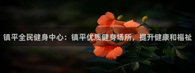 尊龙凯时ag旗舰：镇平全民健身中心：镇平优质健身场所，提