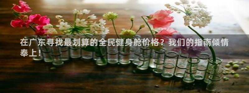 凯时登录平台去AG发财网：在广东寻找最划算的全民健身舱价