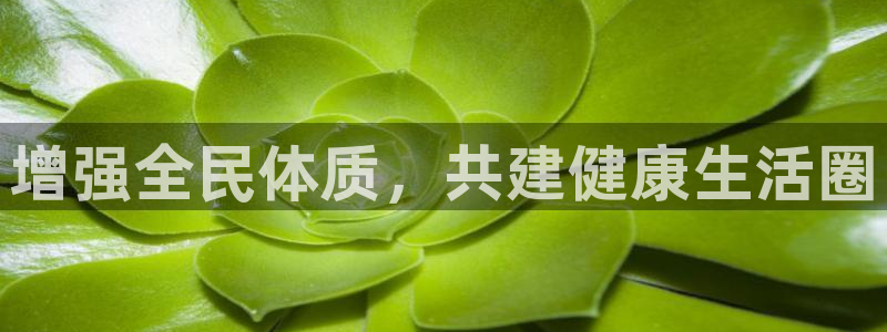 尊龙d88手机版下载