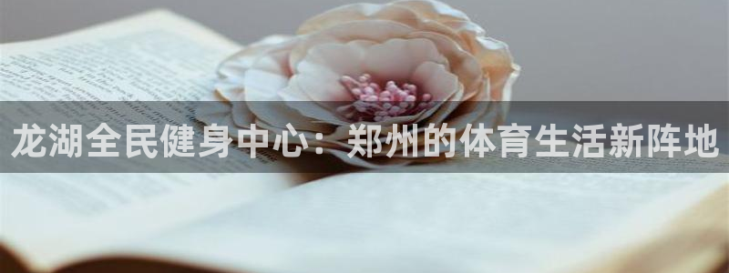 尊龙官方网址