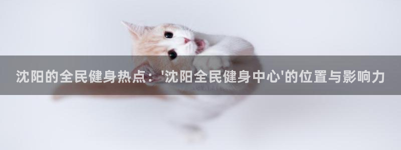 尊龙用现金一下可靠送38元