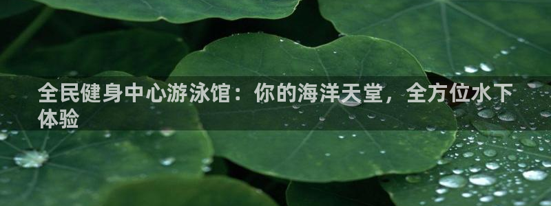 KB88凯时官网：全民健身中心游泳馆：你的海洋天堂，全方