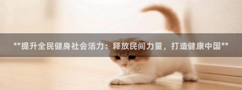 凯时国际平台有人赢吗：**提升全民健身社会活力：释放民间力量