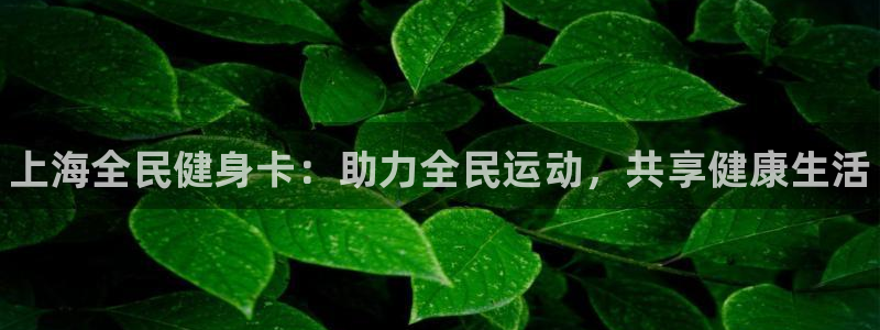 尊龙凯时app官网