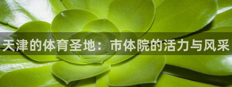 尊龙凯时人生就是博·(中国)官网官