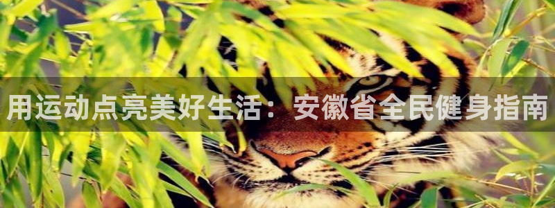 尊龙人品怎么样：用运动点亮美好生活：安徽省全民健身指南