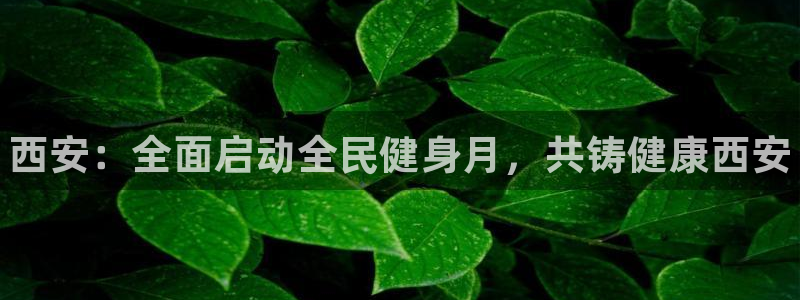 尊龙集团有限公司