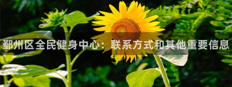 尊龙凯时d5138：鄞州区全民健身中心：联系方式和其他重