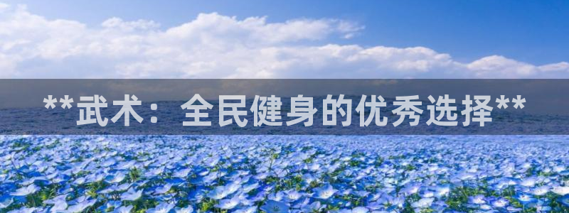 尊龙信息科技有限公司：**武术：全民健身的优秀选择**