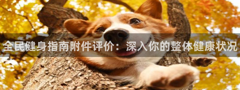 尊龙凯时平台信誉怎样：全民健身指南附件评价：深入你的整体