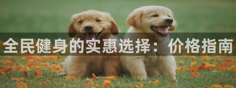 尊龙目前照片：全民健身的实惠选择：价格指南