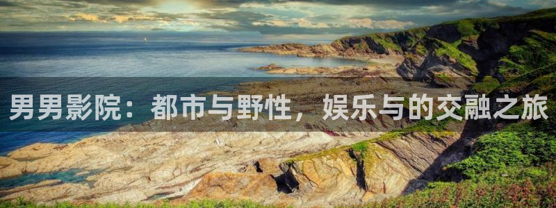 战地影院 720p 下载：男男影院：都市与野性，娱乐与的交融之旅