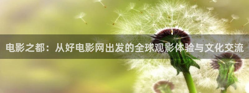 战地在线观看：电影之都：从好电影网出发的全球观影体验与文化交流