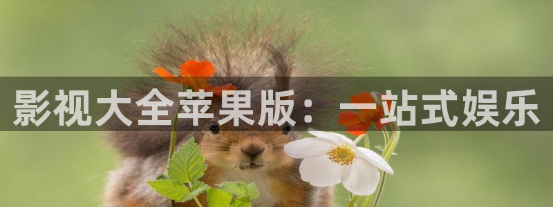战地影院168：影视大全苹果版：一站式娱乐