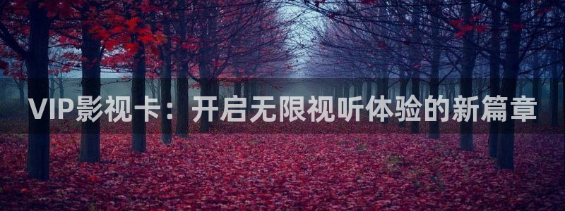 中东反恐电影战地免费播放：VIP影视卡：开启无限视听体验的新篇章