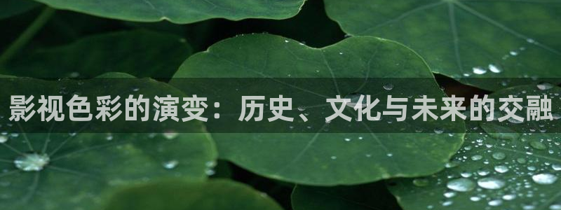 聚会的目的战地影院：影视色彩的演变：历史、文化与未来的交融