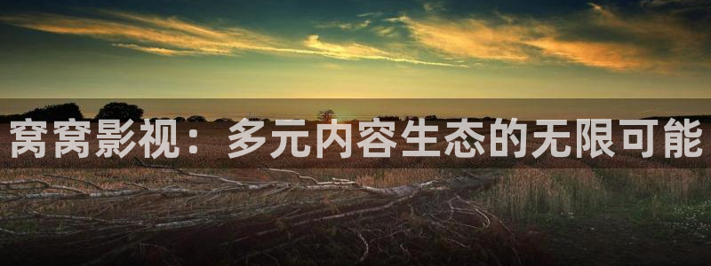 那年花开月正圆战地影院：窝窝影视：多元内容生态的无限可能