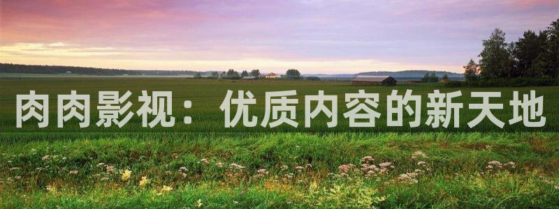 战地影视网：肉肉影视：优质内容的新天地