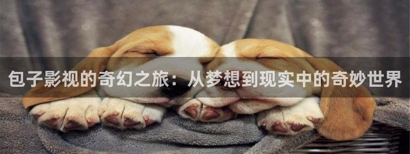 战地影视：包子影视的奇幻之旅：从梦想到现实中的奇妙世界