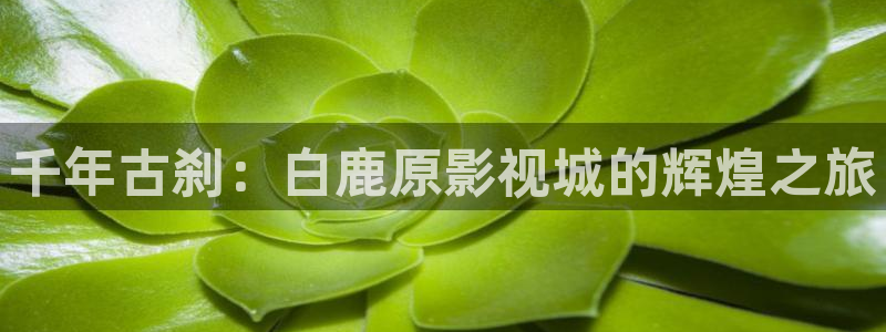 那年花开月正圆战地影院：千年古刹：白鹿原影视城的辉煌之旅