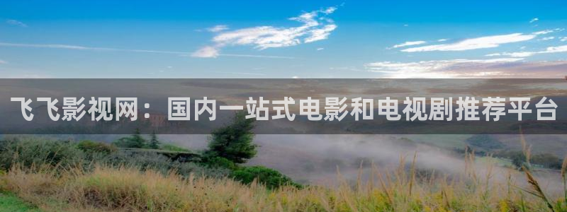 战地电影网：飞飞影视网：国内一站式电影和电视剧推荐平台
