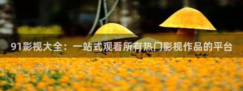 战地影院1080p高清电影在线观看：91影视大全：一站式观看所有热门影视作品的平台