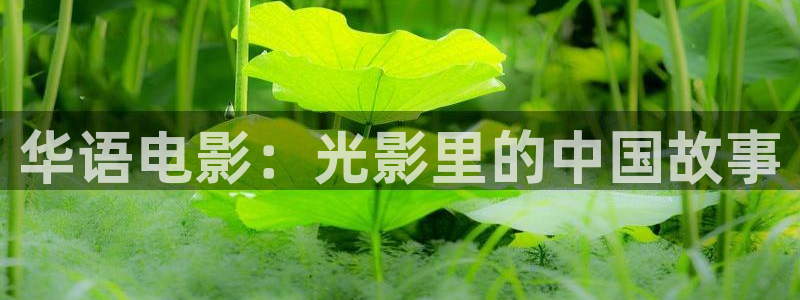 战地包：华语电影：光影里的中国故事